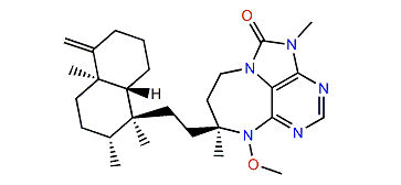 Asmarine E